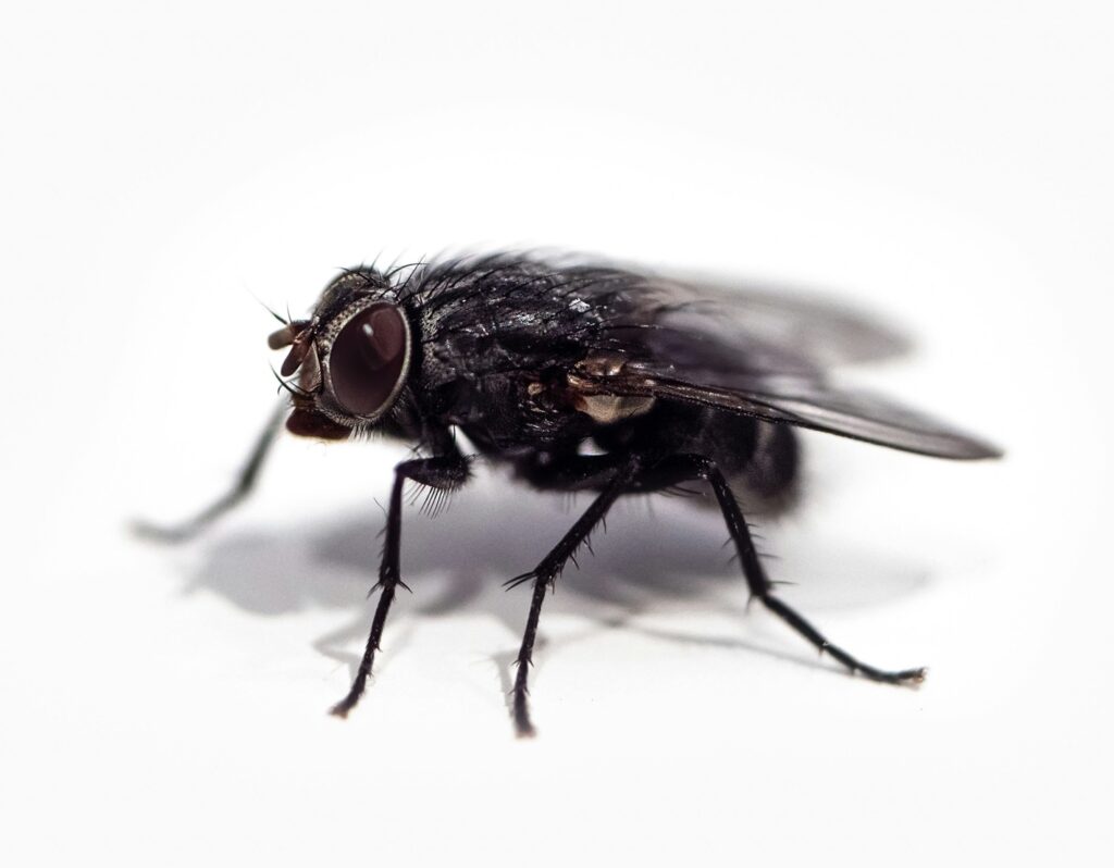 chris-curry-N4AFGRPZGk4-unsplash